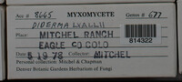 Image Associated With the Occurence